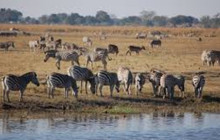 Africa Beast Safaris19