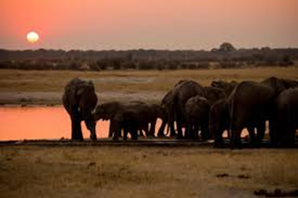7 Days Hwange National Park, Chobe National Park and Victoria Falls Budget