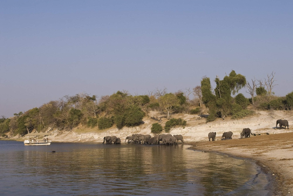 Africa Beast Safaris