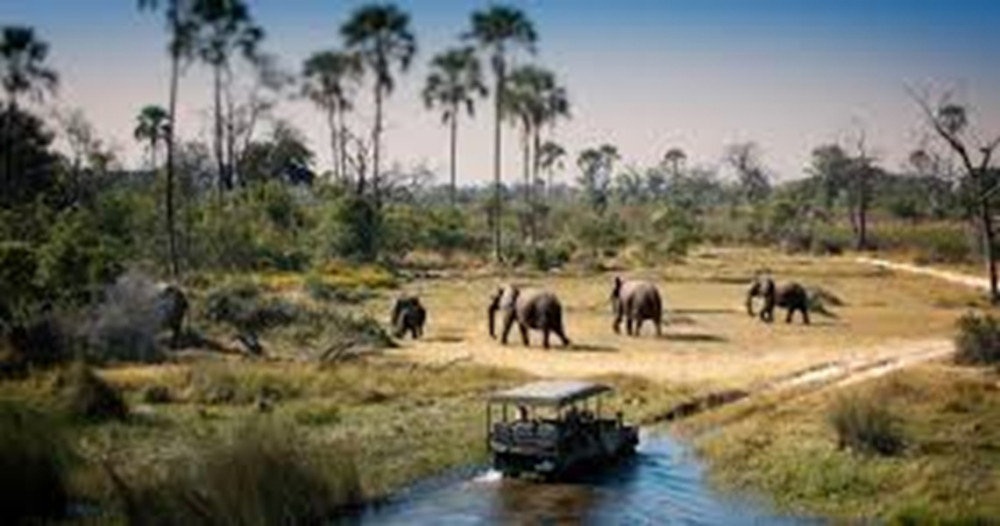 3 Days Chobe National Park Camping Safari Tour from Victoria Falls