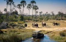 Africa Beast Safaris1