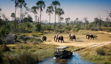 A picture of 3 Days Chobe National Park Camping Safari Tour from Victoria Falls