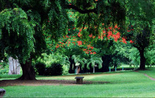 Waitukubuli Adventure Tour Co.3