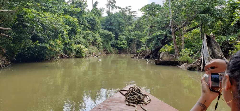 Indian River Boat Tour with Bush Bar Visit and Pirates Film Sites