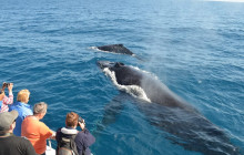 Waitukubuli Adventure Tour Co.12