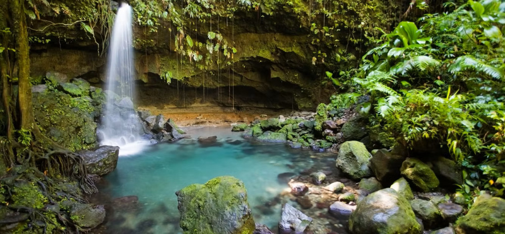 Half-Day Waterfalls Tour to Trafalgar Falls, Ti Tou Gorge & Emerald Pool