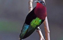 Waitukubuli Adventure Tour Co.5