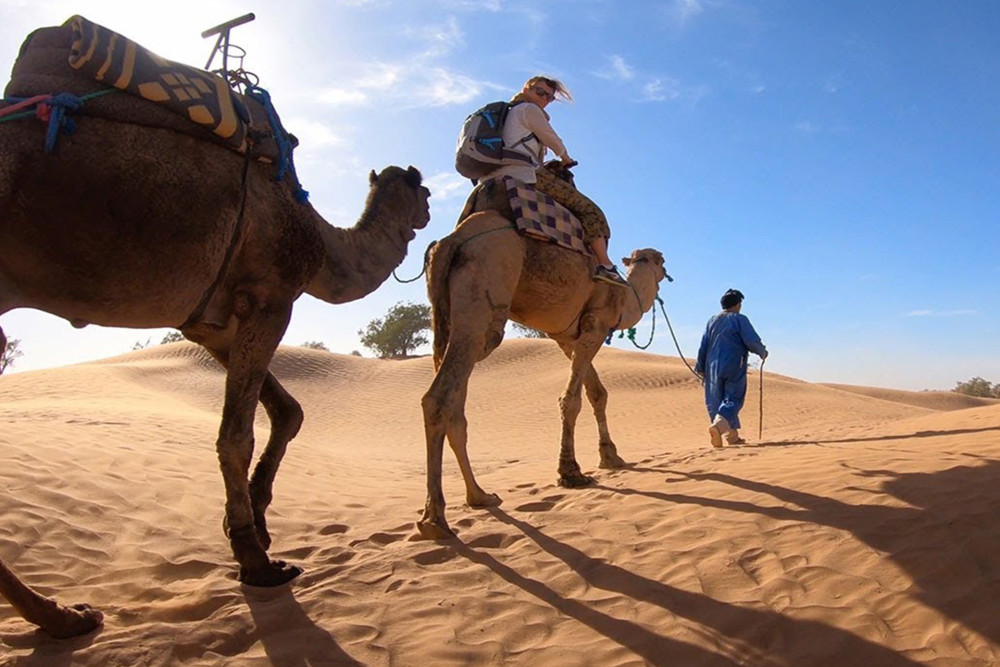 From Marrakech : 3-Days Private To Fes Via Merzouga Desert Tour