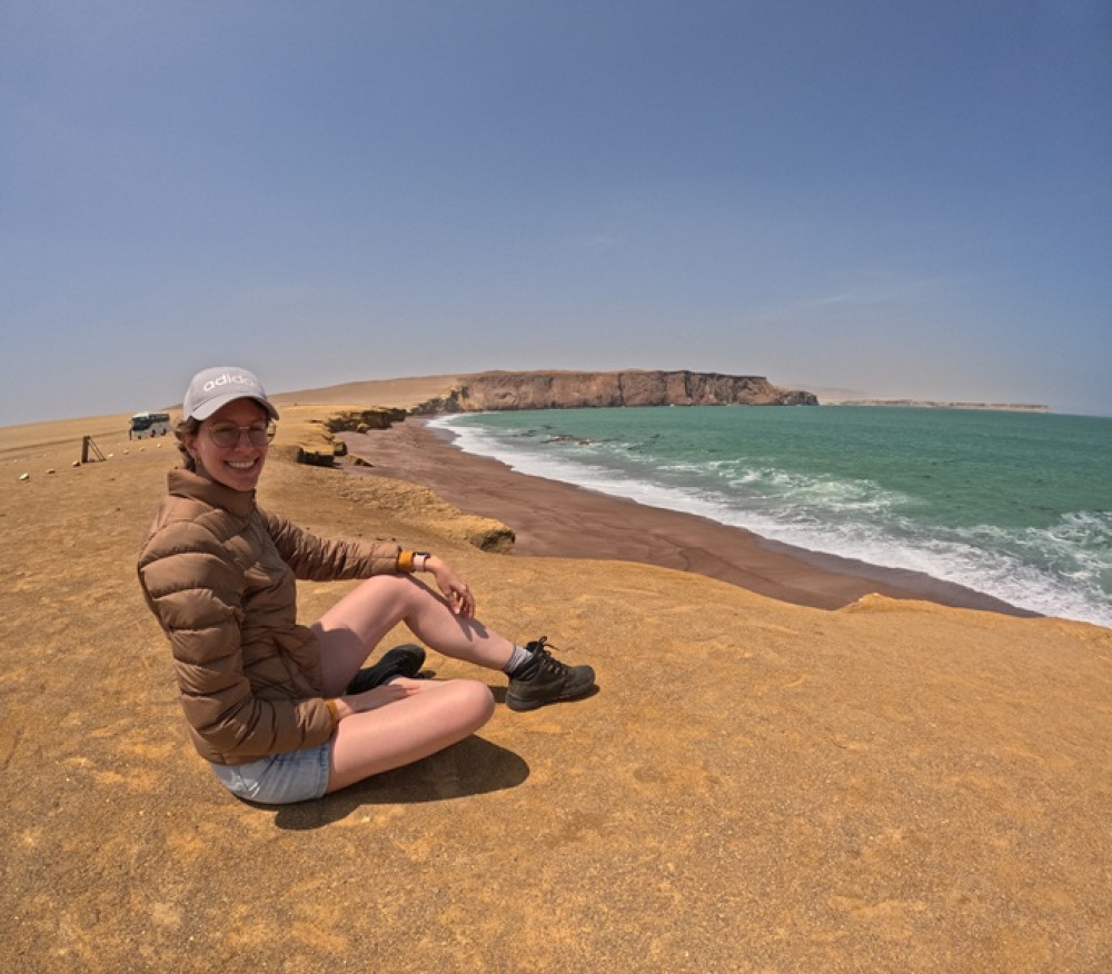 Full Day Ballestas Islands & Paracas National Reserve from Ica