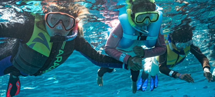 Full-Day Kuata Island Marine Conservation & Snorkeling Tour