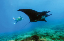 South Sea Cruises Group Pte Ltd2