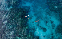 South Sea Cruises Group Pte Ltd8