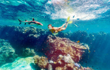 South Sea Cruises Group Pte Ltd12