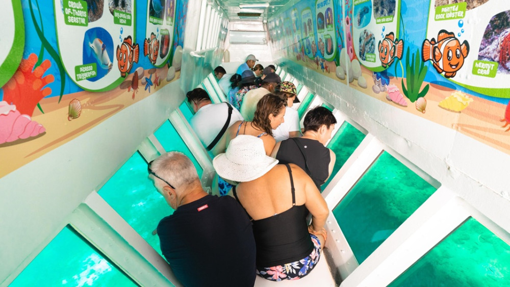 South Sea Island Full Day Tour with Lunch & Drinks