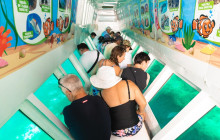 South Sea Cruises Group Pte Ltd5
