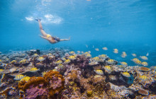 South Sea Cruises Group Pte Ltd13