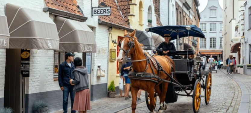 Highlights & Hidden Gems of Bruges