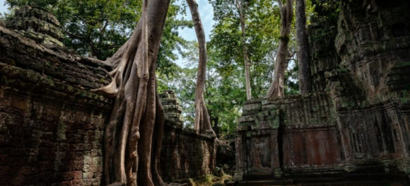 The Ultimate Angkor Wat Temple Day Trip