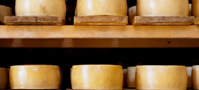 The 10 Tastings of Split