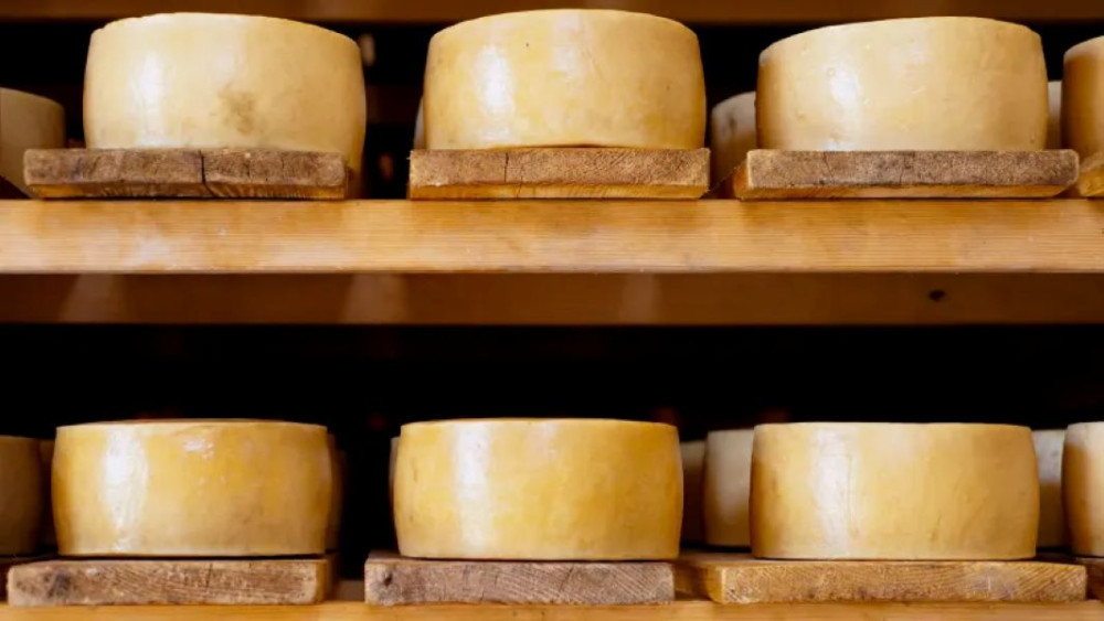 The 10 Tastings of Split