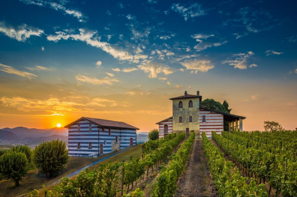 Franciacorta Wine Tasting And shopping Tour From Milan Milan