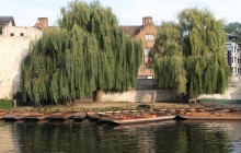 Cambridge Alumni Tours1