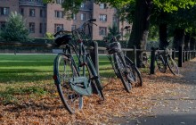 Cambridge Alumni Tours6