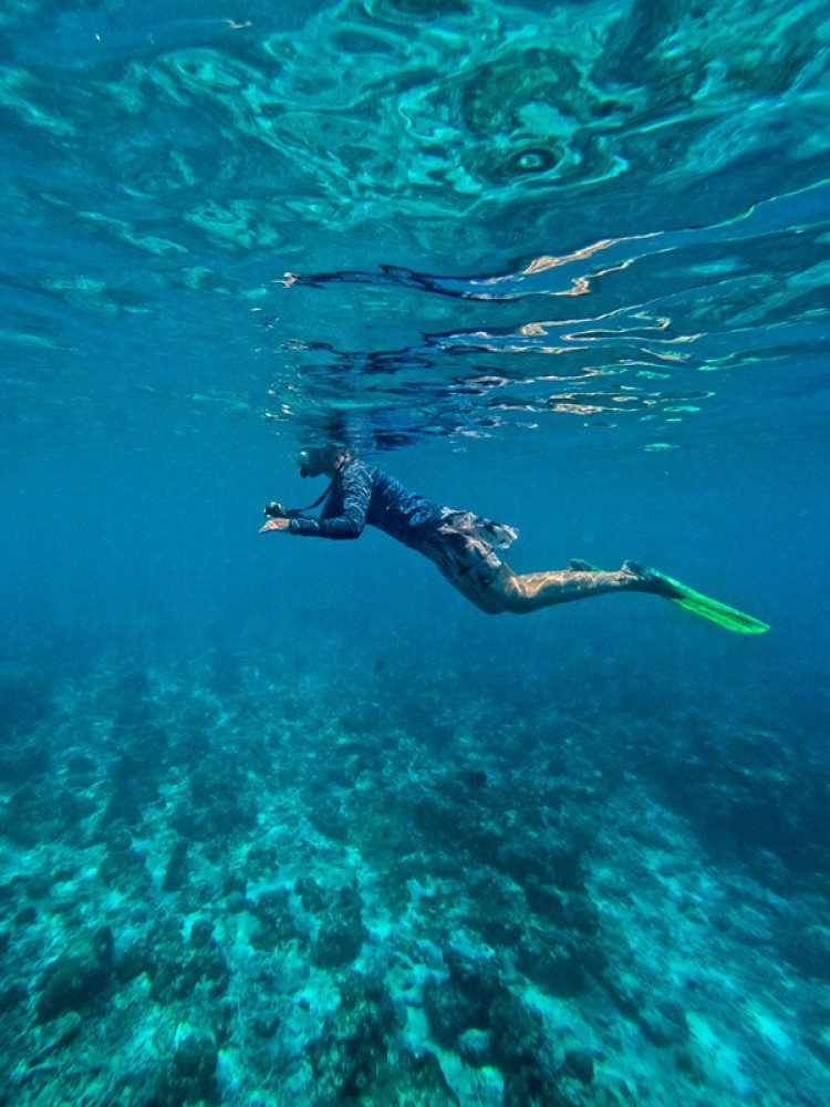 Fish ID Snorkeling with a Local