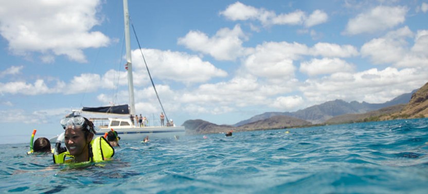 Morning Turtle Snorkel - Catamaran with Shuttle