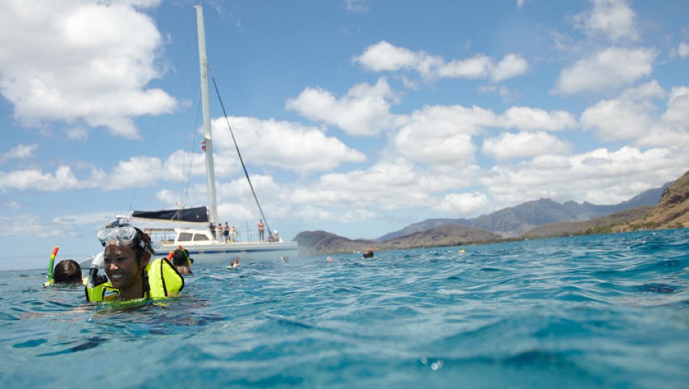 Morning Turtle Snorkel - Catamaran with Shuttle