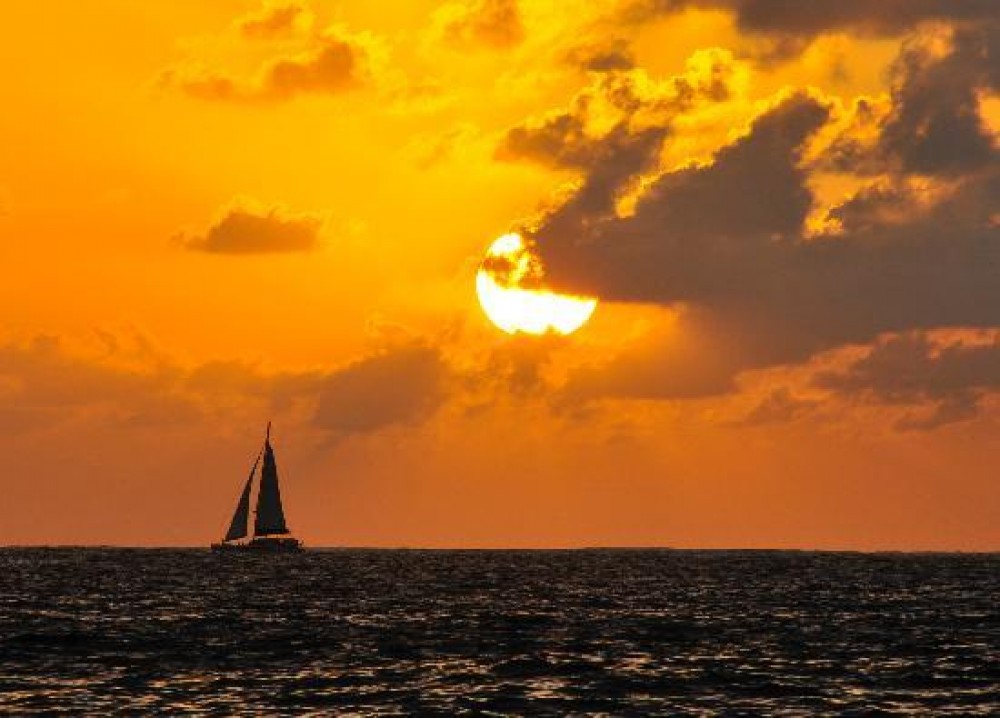 sunset catamaran waikiki beach
