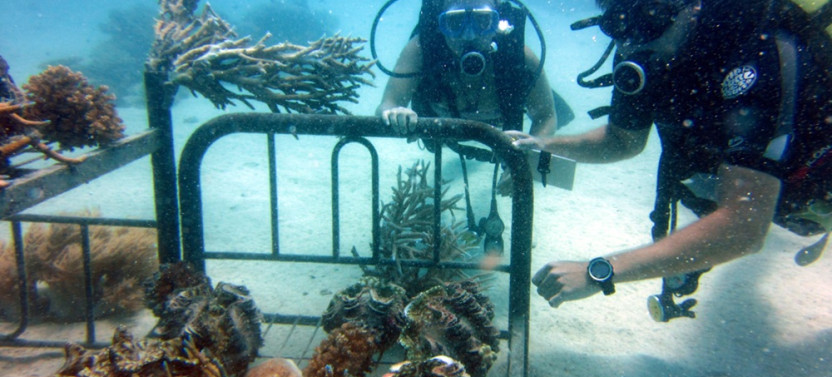 5-Day Island Adventure Package with Activities and Transfers