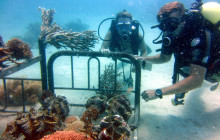 South Sea Cruises Group Pte Ltd2