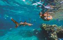 South Sea Cruises Group Pte Ltd1