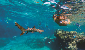 A picture of 4-Day Tropical Tempter Inclusive Island Package in the Yasawas