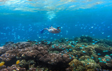 South Sea Cruises Group Pte Ltd7