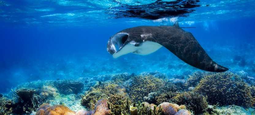 8-Day Yasawa Wanderer Inclusive Island-Hopping Package