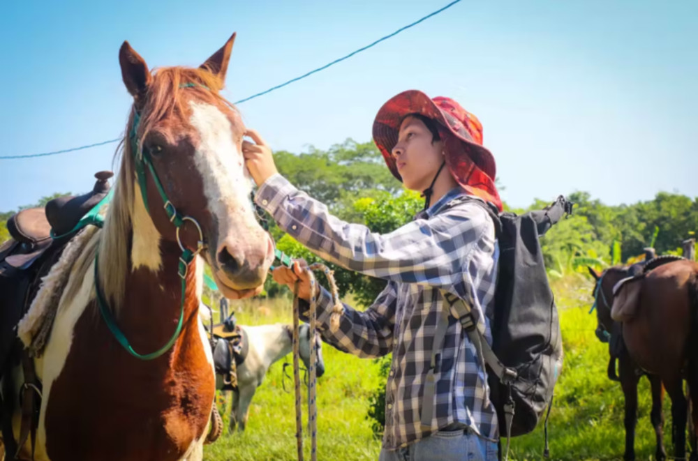 Jungle & Riverside Horseback Trail Riding from San Ignacio