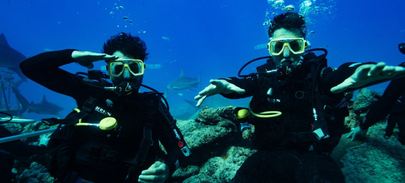 3-Day Island Adventure With Reef Shark Encounter in Fiji