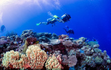 South Sea Cruises Group Pte Ltd7