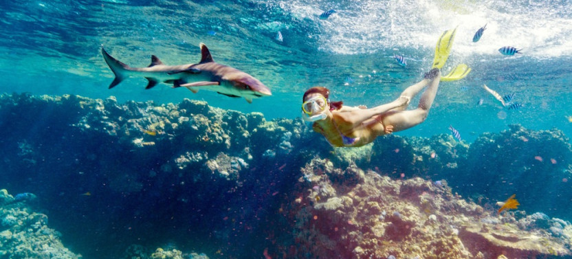 3-Day Island Adventure With Reef Shark Encounter in Fiji