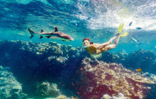 South Sea Cruises Group Pte Ltd2