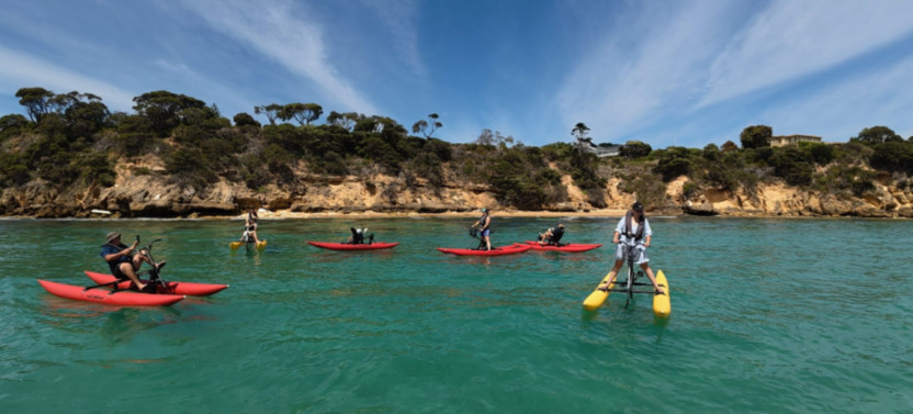 Sorrento Guided Waterbike Tour & Potential Dolphin Sightings