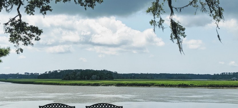 Savannah VIP Private Tour
