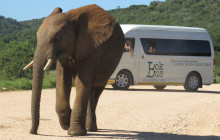 Bokbus Tours1