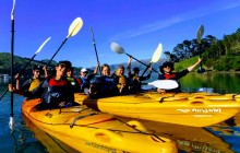 Akaroa Guided Kayak Safaris2