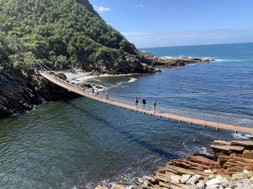 6-Day Garden Route Adventure with Safari, Caves & Wine Tasting