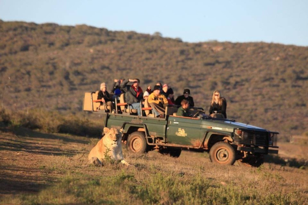 2-Day Cape Town to Garden Route Big Five Safari with Cape Agulhas