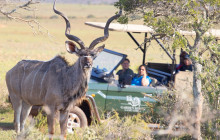Bokbus Tours7