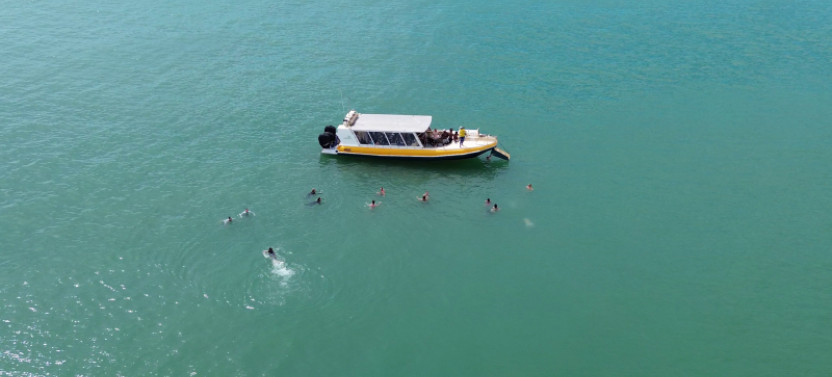Magnetic Island Boat and Snorkel Adventure with Guided Hike